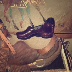 Dansko mule
